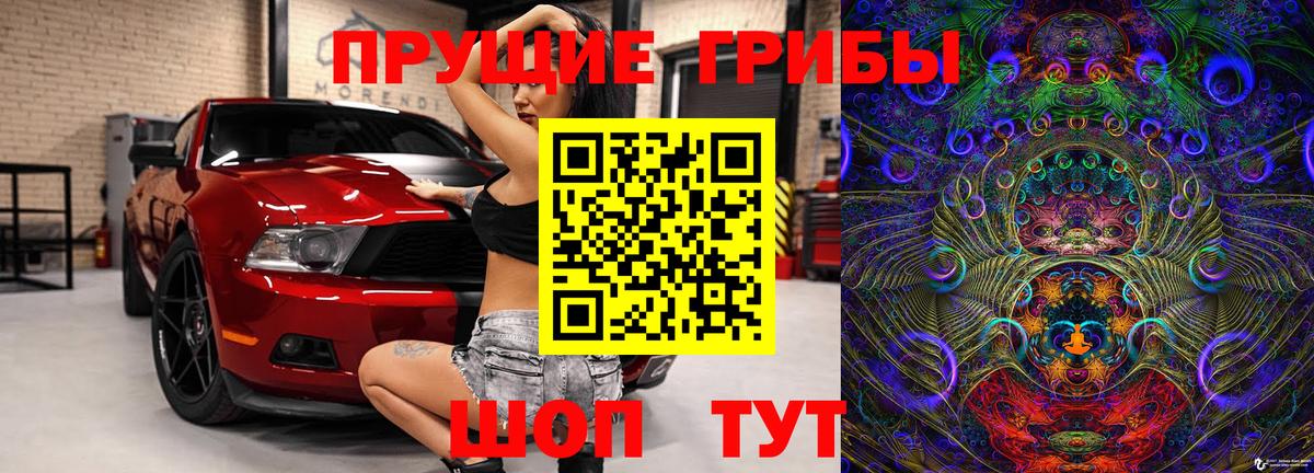 Псилоцибиновые грибы Psilocybe Чебоксары
